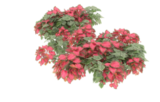 Realistic foliage isolated on transparent background. 3d rendering - illustration png