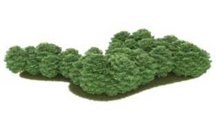 Realistic foliage isolated on transparent background. 3d rendering - illustration png