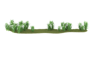 Realistic foliage isolated on transparent background. 3d rendering - illustration png