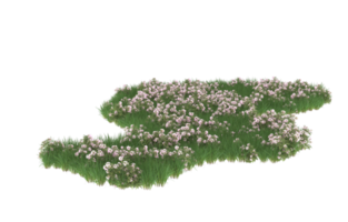 Realistic foliage isolated on transparent background. 3d rendering - illustration png