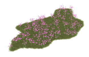 realistisk lövverk isolerat på transparent bakgrund. 3d tolkning - illustration png