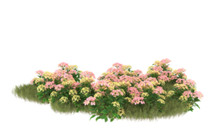 Realistic foliage isolated on transparent background. 3d rendering - illustration png