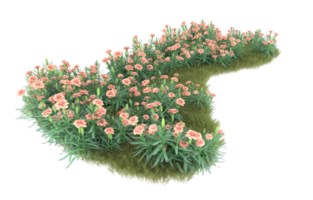 Realistic foliage isolated on transparent background. 3d rendering - illustration png