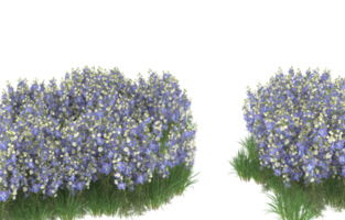 Realistic foliage isolated on transparent background. 3d rendering - illustration png