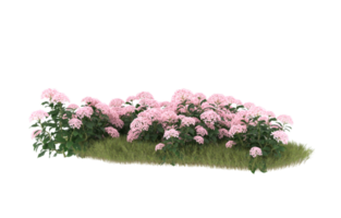 Realistic foliage isolated on transparent background. 3d rendering - illustration png