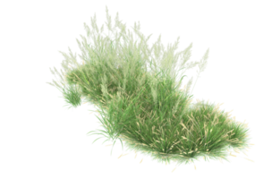 Realistic foliage isolated on transparent background. 3d rendering - illustration png