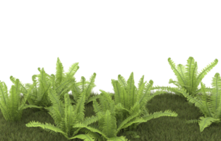 Realistic foliage isolated on transparent background. 3d rendering - illustration png