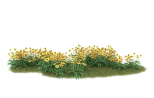 Realistic foliage isolated on transparent background. 3d rendering - illustration png