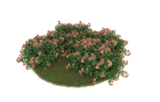 Realistic foliage isolated on transparent background. 3d rendering - illustration png