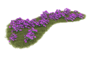 Realistic foliage isolated on transparent background. 3d rendering - illustration png