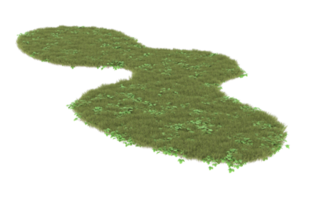 Realistic foliage isolated on transparent background. 3d rendering - illustration png