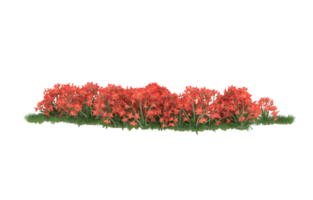 Realistic foliage isolated on transparent background. 3d rendering - illustration png