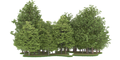 Realistic forest isolated on transparent background. 3d rendering - illustration png