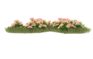 Realistic foliage isolated on transparent background. 3d rendering - illustration png