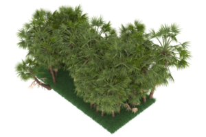 Palm trees isolated on transparent background. 3d rendering - illustration png