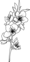 dessin au trait floral monochrome luxe fleur élégante illustration vintage png