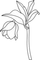 florale linie kunst monochrome luxus elegante blume vintage illustration png