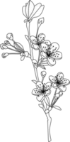 floral línea arte monocromo lujo elegante flor vintage ilustración png