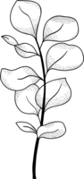 florale linie kunst monochrome luxus elegante blume vintage illustration png