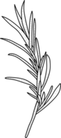 blommig linje konst svartvit lyx elegant blomma årgång illustration png
