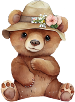 carino Marrone orso acquerello png