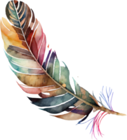 aquarelle de plumes colorées png