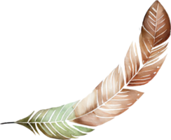 Colorful Feather Watercolor png