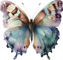 Butterfly Watercolor Illustration png