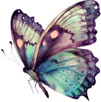 ilustração em aquarela de borboleta png