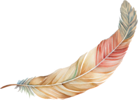 Colorful Feather Watercolor png