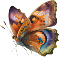 mariposa acuarela ilustración png