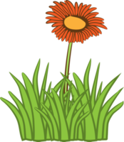 Grass png graphic clipart design