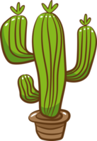 cactus png graphique clipart conception