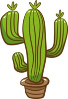 cactus png gráfico clipart diseño