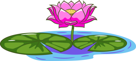 Lotus png graphic clipart design