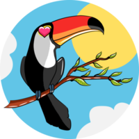 Toucan png graphic clipart design