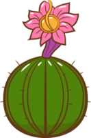 cactus png gráfico clipart diseño