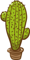 cactus png gráfico clipart diseño