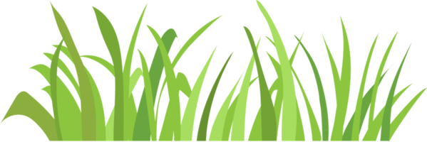gräs png grafisk ClipArt design