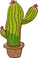 cactus png gráfico clipart diseño