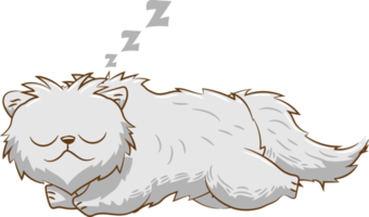 Cat png graphic clipart design