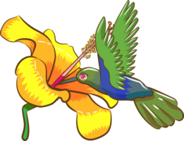 Kolibri-PNG-Grafik-Clipart-Design png