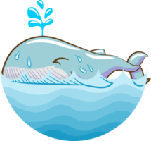 Whale png graphic clipart design