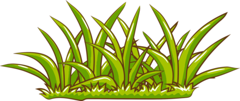 Grass png graphic clipart design