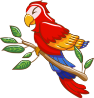 Parrot png graphic clipart design