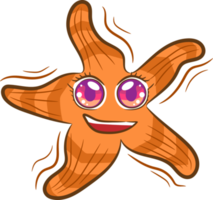 starfish png graphic clipart design