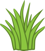 Grass png graphic clipart design