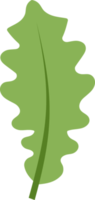 Leaf png graphic clipart design