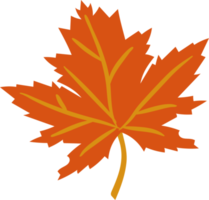 Leaf png graphic clipart design