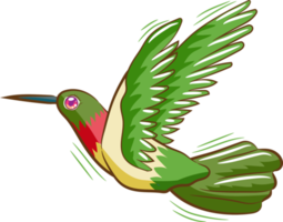 colibrì png grafico clipart design